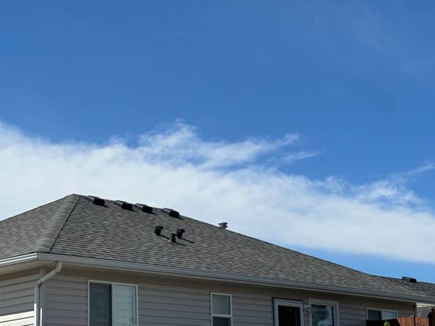 Best Rubber Roofing (EPDM, TPO)  in Shinglehouse, PA